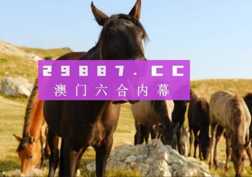 澳门和香港管家婆一肖一码一中一,精选解释解析落实