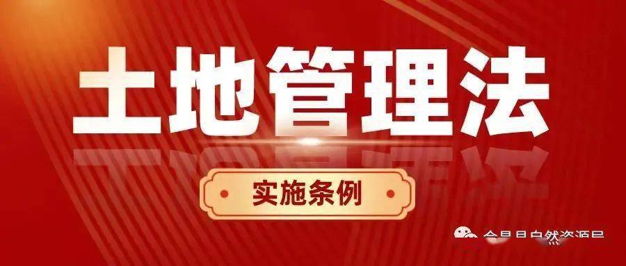 2025新澳正版免费资料,全面贯彻解释落实