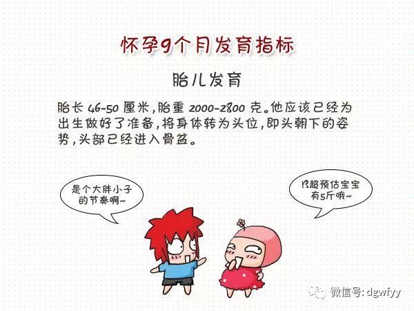 澳门知识专家解析，关于怀孕七个月假性宫缩的奥秘