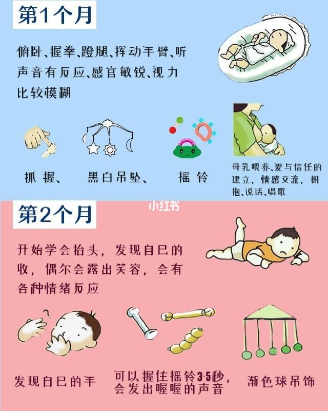 三个月宝宝智力发育，早期成长的关键阶段