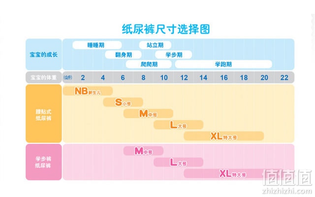 澳门知识专家解读，花王L码尿不湿的使用周期与考量因素