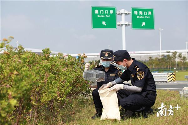 广东省执法类考试与澳门法治建设的互动与启示