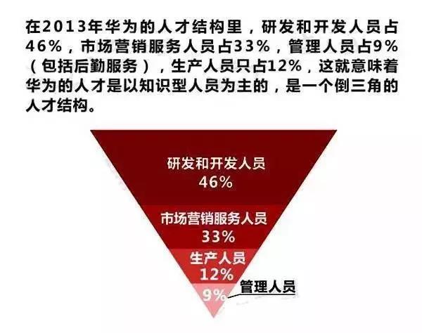 广东橙子管理有限公司，澳门视角下的深度解析