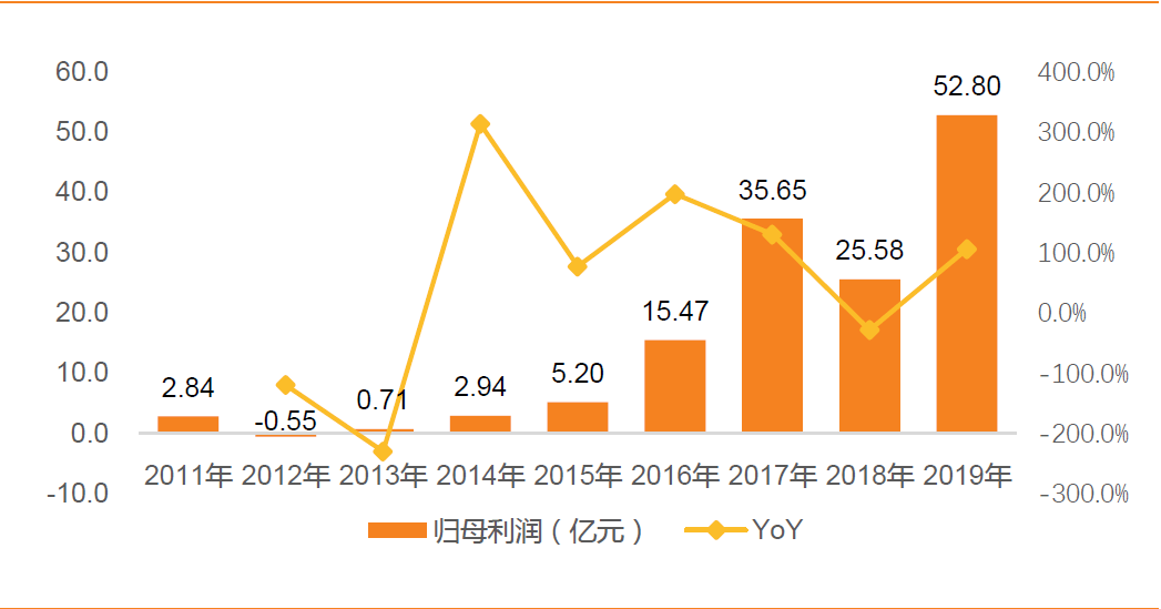 广东赛翼股票有限公司，深度解析其发展历程与前景展望