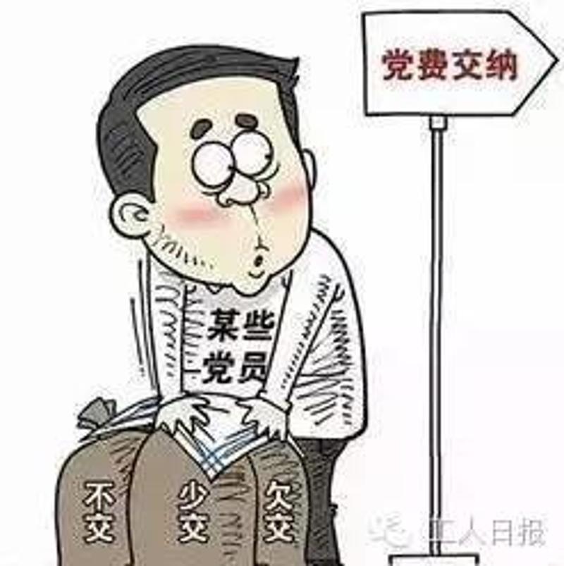 连续几个月不缴纳党费，影响、原因及应对措施