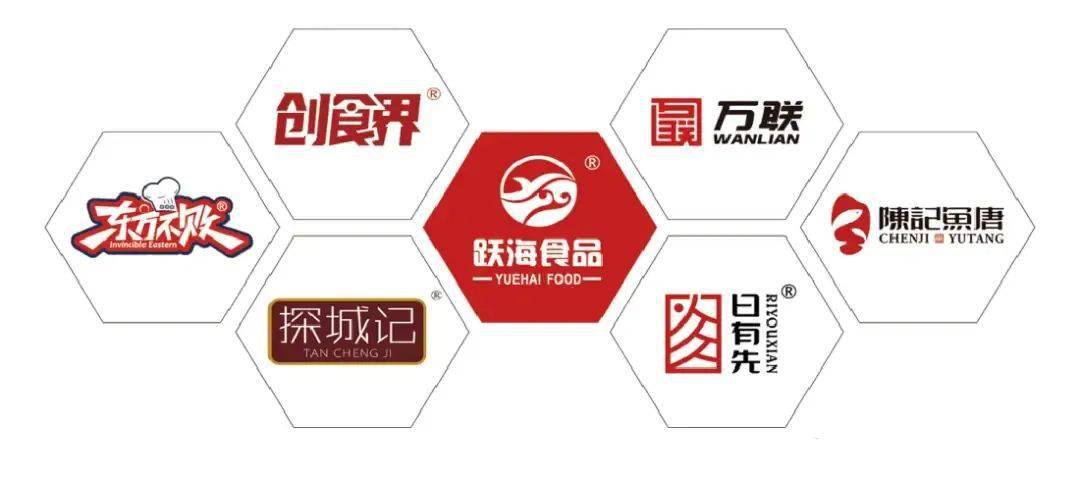 广东潮食品有限公司，深度解析其发展历程与业务特色