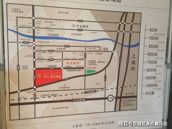 广东省医保局项目，深度解读与前景展望