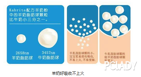 奶粉二段，几个月吃的知识解析