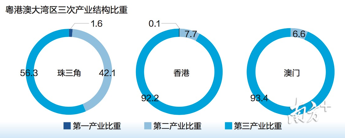 广东有母有限公司，深度解析其在澳门及广东省的发展脉络与多元业务布局