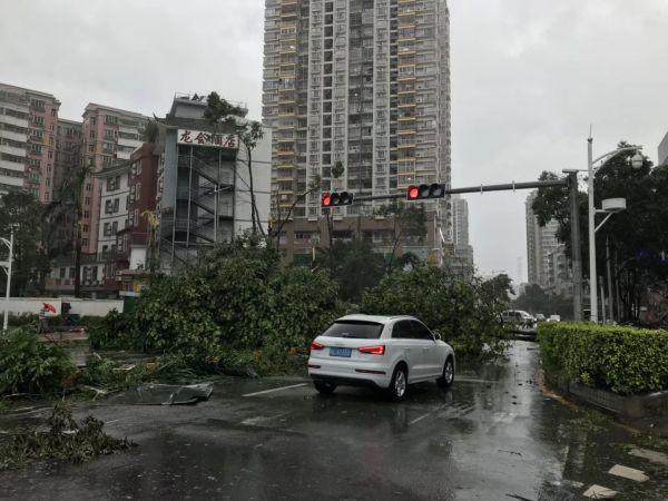 澳门知识专家解读，关于大姨妈三个月未至的重要信息